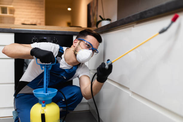 Best Residential Pest Control  in Union Springs, AL