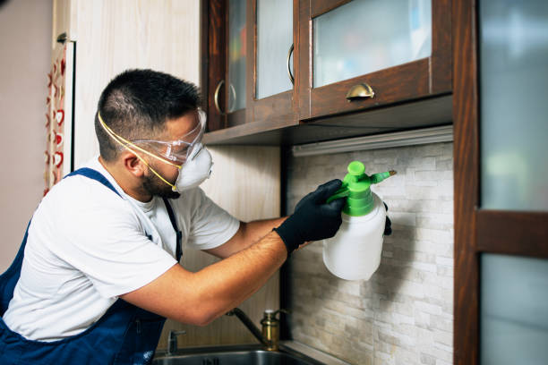 Trusted Union Springs, AL Pest Control Experts