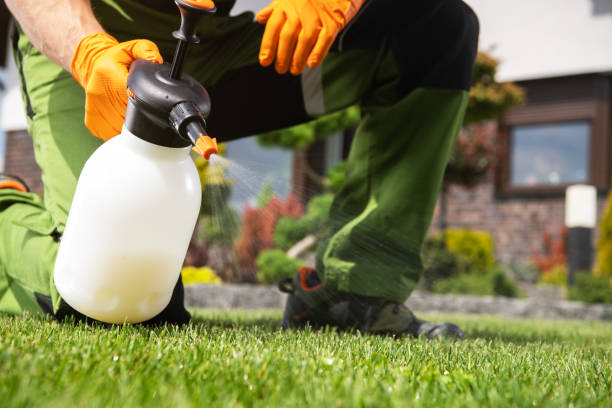 Best Flea Control Services  in Union Springs, AL