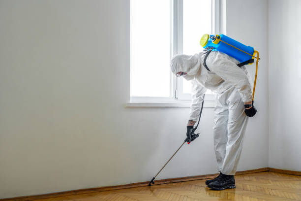 Best Termite Control Services  in Union Springs, AL