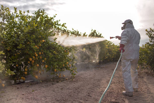 Best Affordable Pest Control Services  in Union Springs, AL