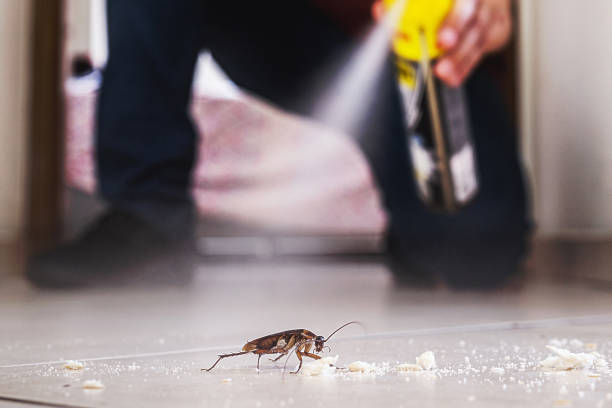 Best Insect Control  in Union Springs, AL